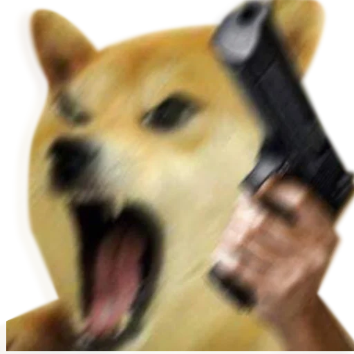 :dogegun: